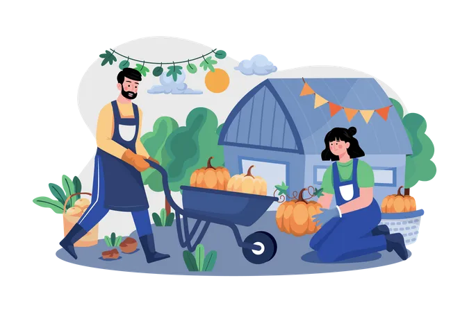 The Couple Is Preparing Pumpkins For Thanksgiving Day  Illustration