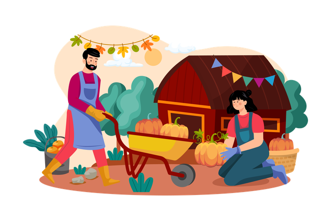 The Couple Is Preparing Pumpkins For Thanksgiving Day  Illustration