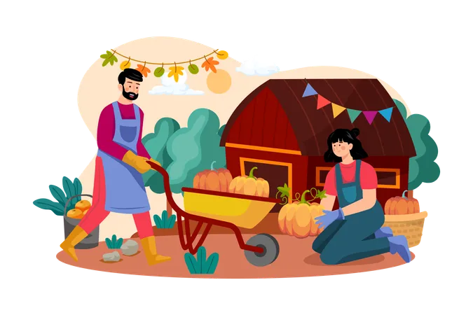 The Couple Is Preparing Pumpkins For Thanksgiving Day  Illustration