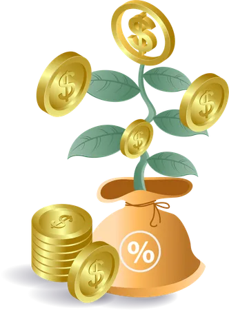 The development of money plants  Illustration