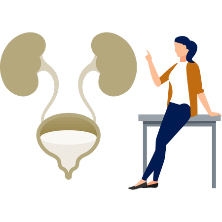 The girl is sitting on table and looking human urology  Illustration