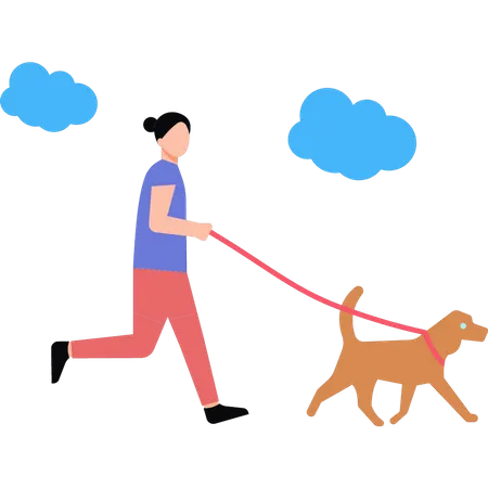 The girl is taking her pet for a walk  Illustration