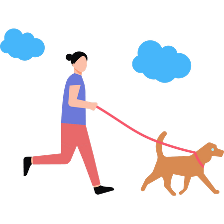 The girl is taking her pet for a walk  Illustration