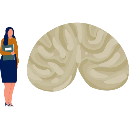 The woman is explaining human brain  Illustration