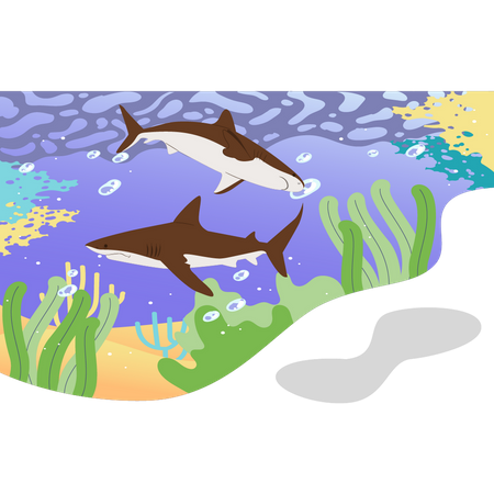 There are two whales in the water Illustration