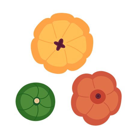 Three pumpkins  Illustration