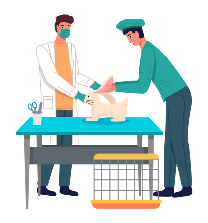 Tierärzte behandeln Kaninchenohren in der Arztpraxis  Illustration