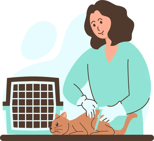 Tierarzt verabreicht einer Katze in einer Klinik eine Impfung  Illustration