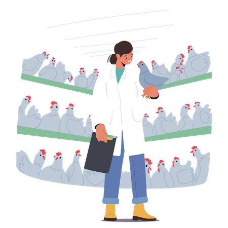 Tierärztin untersucht Hühner auf Geflügelfarm mit Hühnerreihen in Käfigen  Illustration