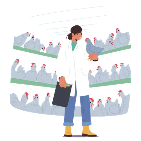 Tierärztin untersucht Hühner auf Geflügelfarm mit Hühnerreihen in Käfigen  Illustration