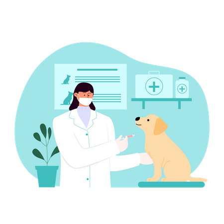 Tierärztin verabreicht Hund Impfstoff  Illustration