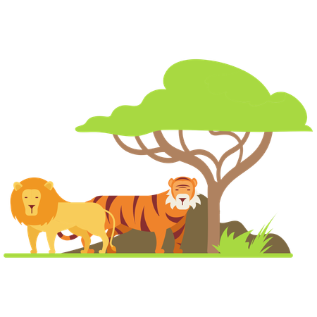Tiger And Lion at zoo  Illustration