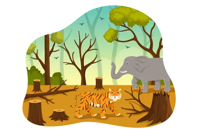 Tiger streift durch den Wald  Illustration