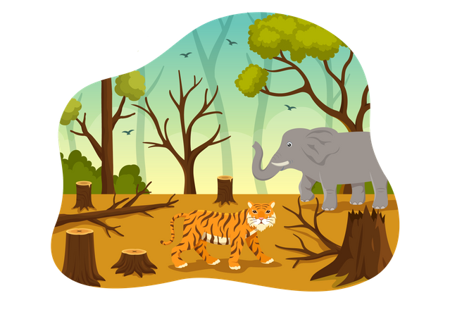 Tigre vagando dentro da floresta  Ilustração