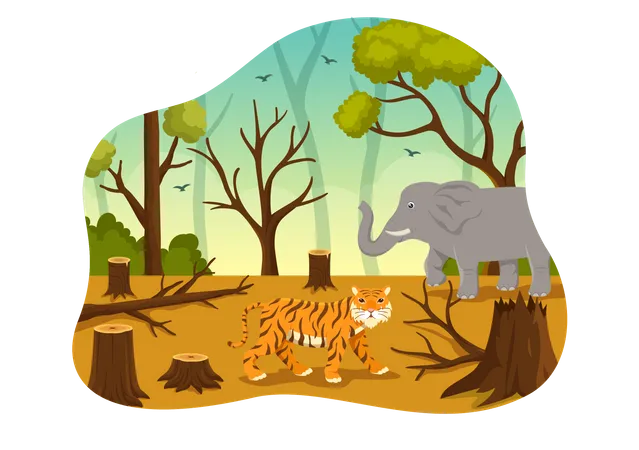 Tigre vagando dentro da floresta  Ilustração