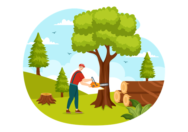 Timber Harvesting  Illustration