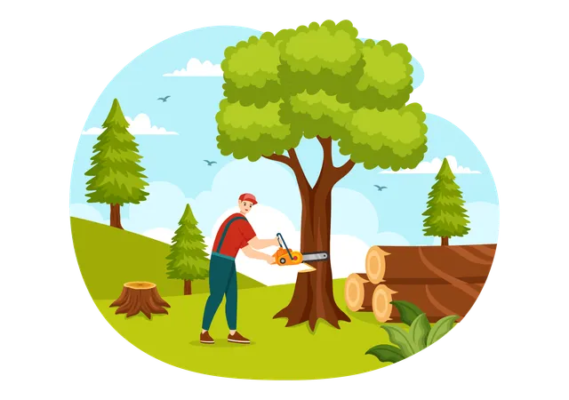 Timber Harvesting  Illustration