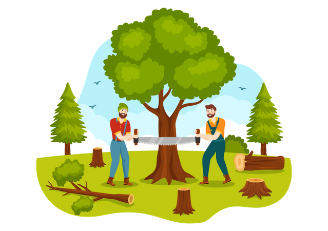 Timber Harvesting  Illustration