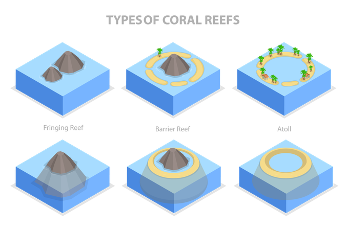 Tipos de arrecifes de coral  Ilustración