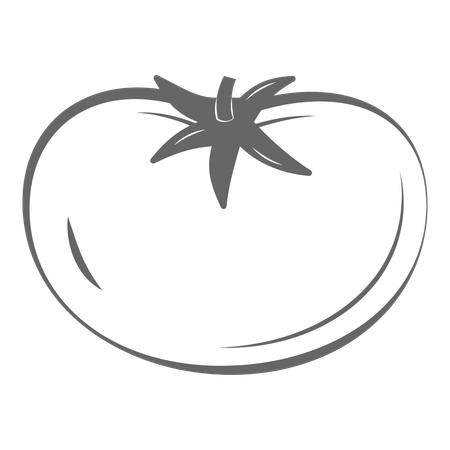 Tomato  Illustration