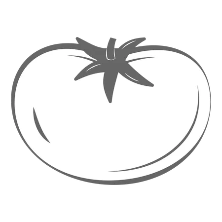 Tomato  Illustration