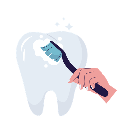 Tooth brushing  Illustration