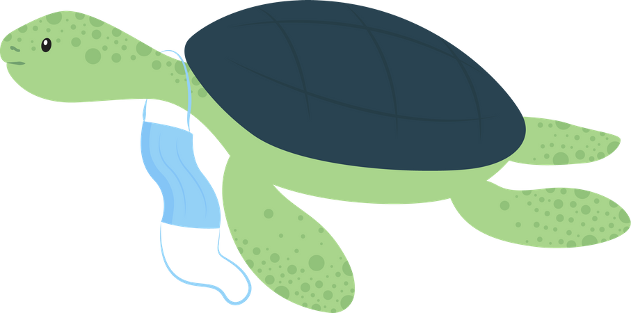 Tortoise with discarded surgical face mask Illustration