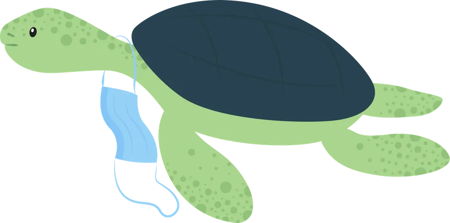 Tortoise with discarded surgical face mask  Illustration