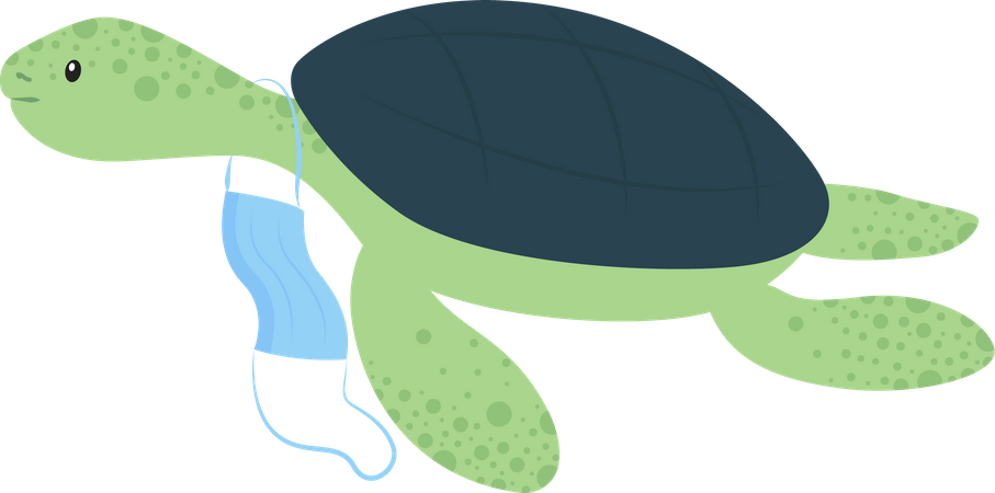 Tortoise with discarded surgical face mask  Illustration