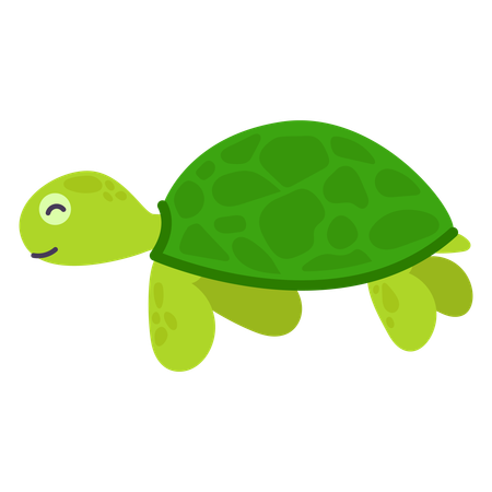 Tortue  Illustration