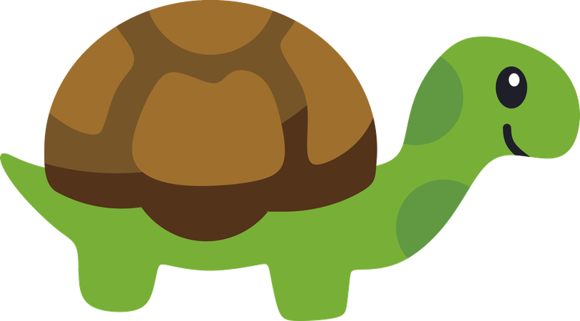 Tortue  Illustration