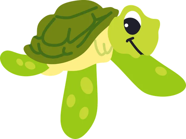 Tortue  Illustration