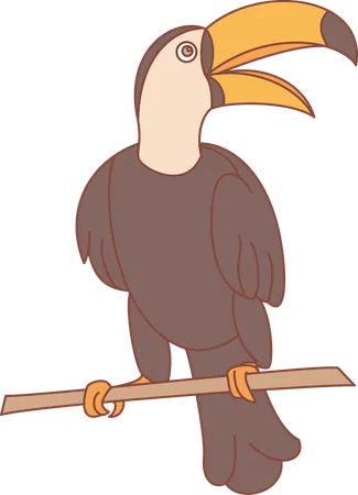 Toucan  Illustration
