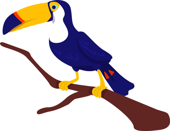 Toucan Illustration
