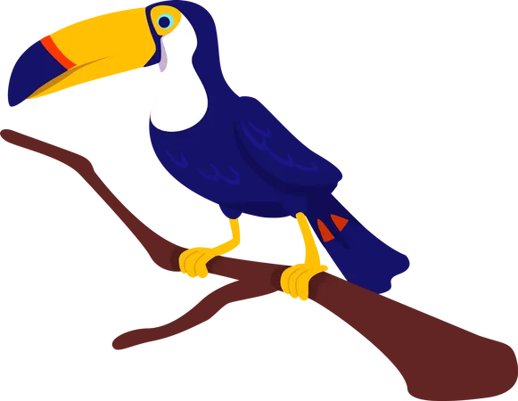 Toucan Semi Flat Color Vector Character Posing Figure Full Body Animal On White Exotic Bird From Tropical Forest Simple Cartoon Style Illustration For Web Graphic Design And Animation Illustration