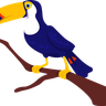 toucan illustration svg