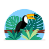 toucan illustration