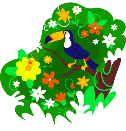 Toucan in foliage  Illustration