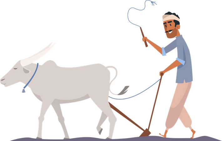 Fazendeiro indiano montando touro  Ilustração
