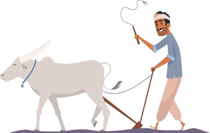 Fazendeiro indiano montando touro  Ilustração