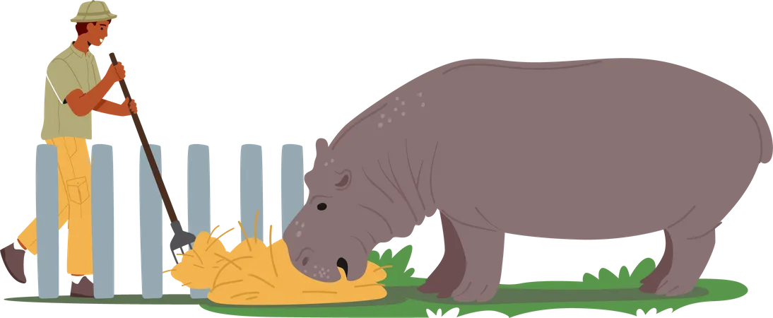 Trabajador Del Zoologico Personaje Masculino Alimentando Hipopotamo Con Heno Cuidador Profesional Del Zoologico Que Cuida Animales Salvajes En El Zoologico Hombre Naturalista Explorando La Criatura De La Fauna Del Hipopotamo Africano Ilustracion De Vector De Personas De Dibujos Animados Ilustración