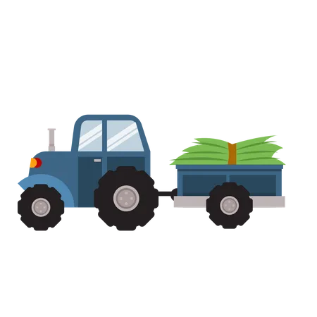 Tractor  Illustration