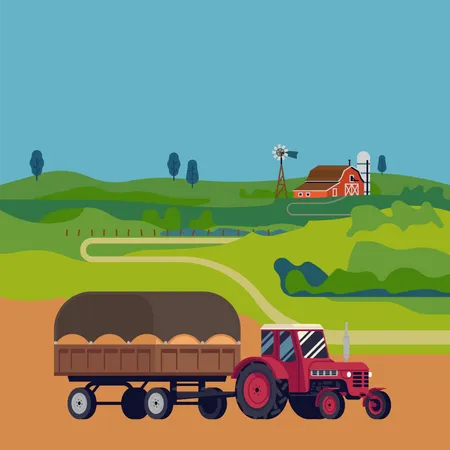 Tractor  Illustration