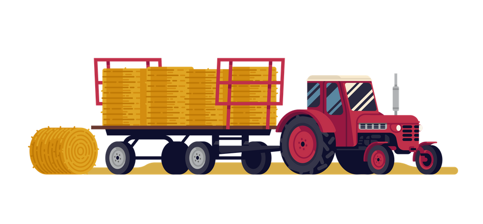 Tractor rojo tirando de un remolque articulado cargado con fardos de heno redondos  Ilustración