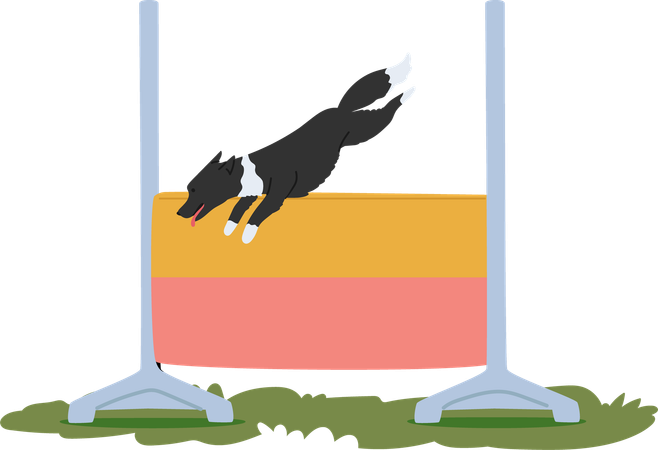 Trained dog jumping over high bar  Illustration