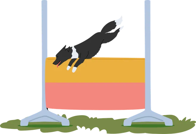 Trained dog jumping over high bar  Illustration