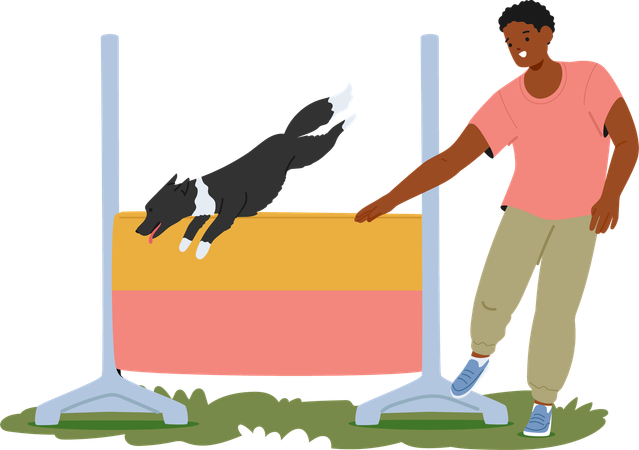 Trainer training dog in outdoor  Illustration