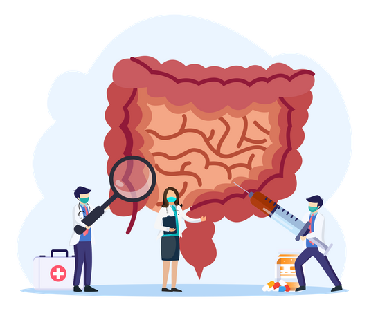 Traitement des maladies des organes internes de l'intestin  Illustration