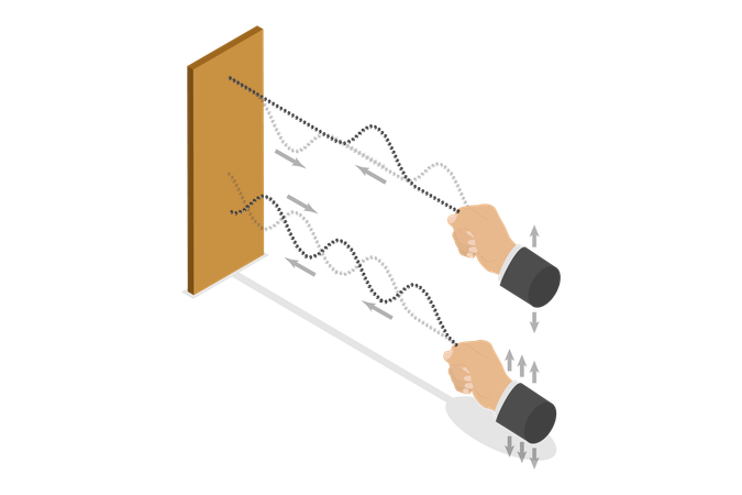 Transverse Waves  Illustration