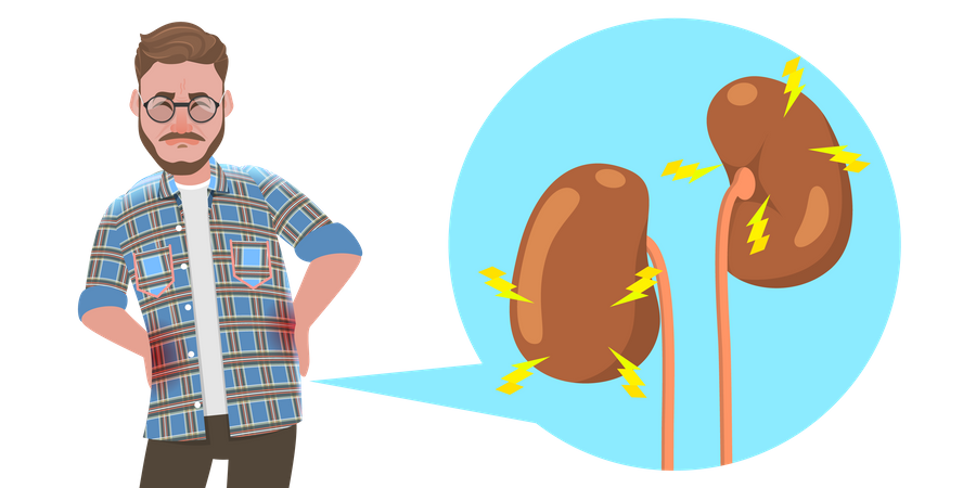 Trastornos del sistema urinario  Ilustración